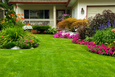Why Aeration Is The Key To A Healthy Lawn
